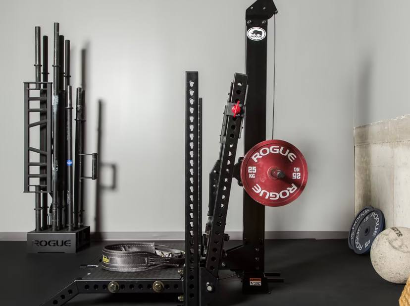 Rogue Stand Rogue Monster Rhino Belt Squat - Stand Alone - Máquina de sentadillas ...